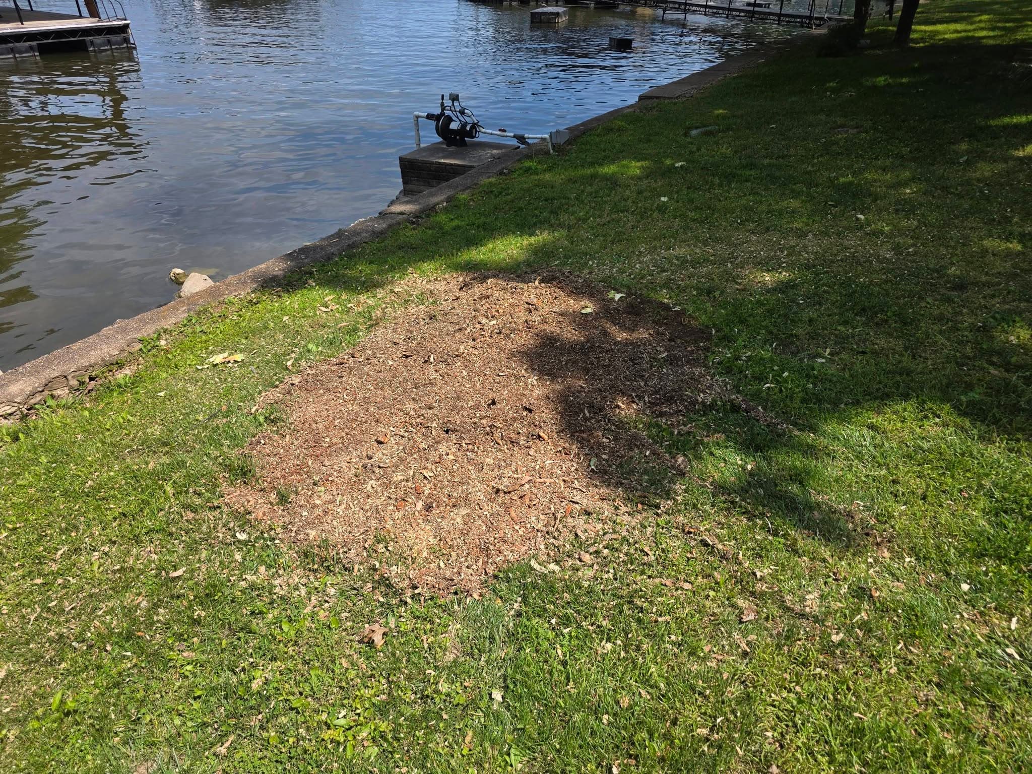 A cleared, raked patch of ground where a stump used to be, lakeside